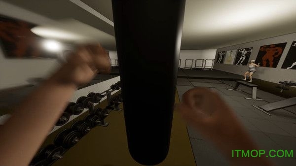 Modern Gym Simulator