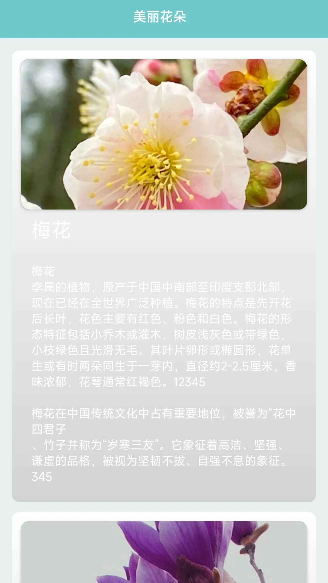 我的花店 我的花店