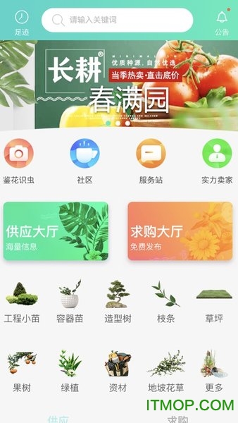 苗搭档
