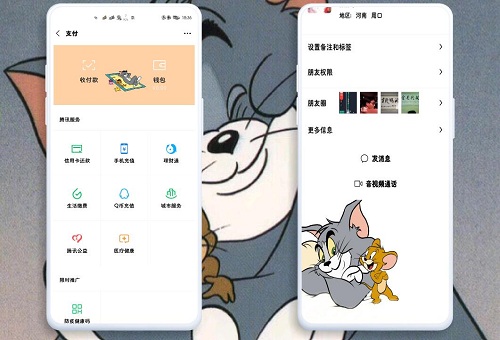 主题安装器
