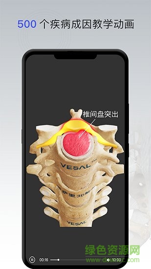骨科专家