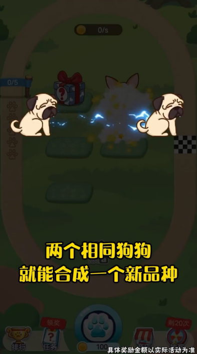 奔跑吧狗狗