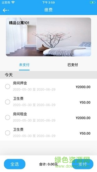 青松租客