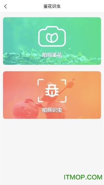 苗搭档