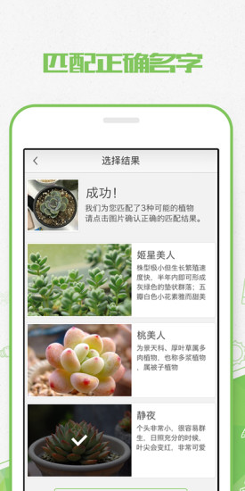 植物识别