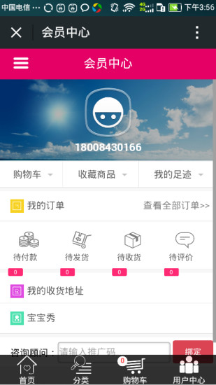 贝比熊