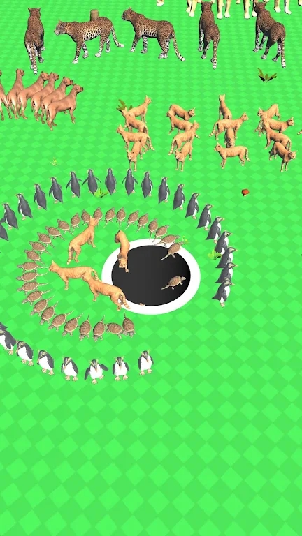 动物黑洞(Animal Hole)