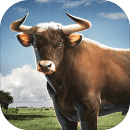 愤怒的公牛赛跑