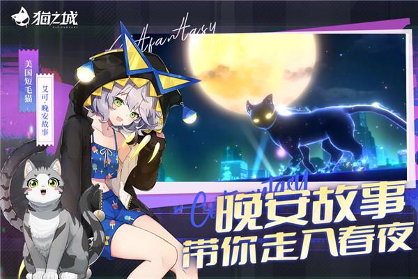 猫之城