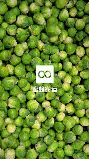 蜜蜂配送