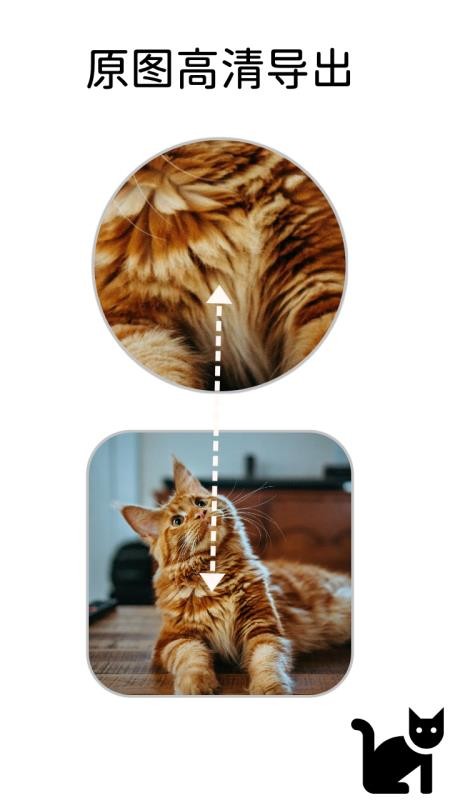 小猫边框