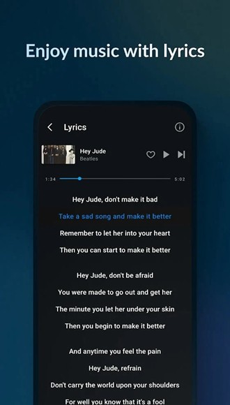 Lark Player高级解锁版 Pro专业版v6.22.6